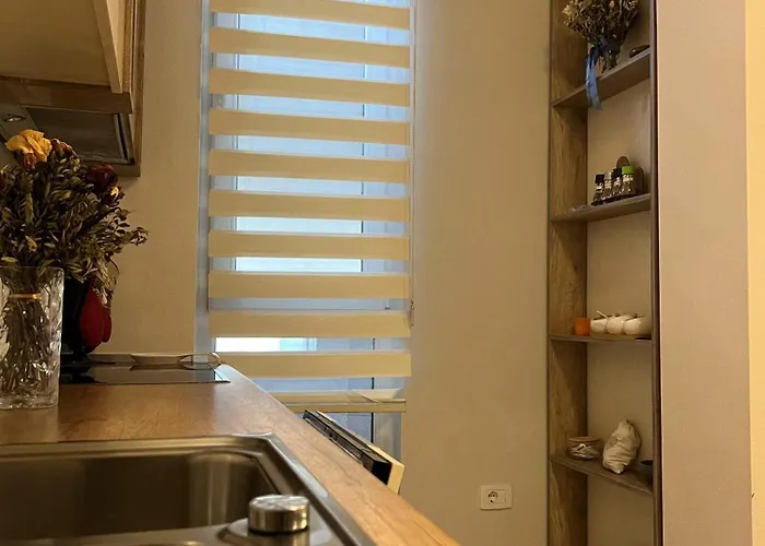 Fia 9 - Panoramic View * 地拉那