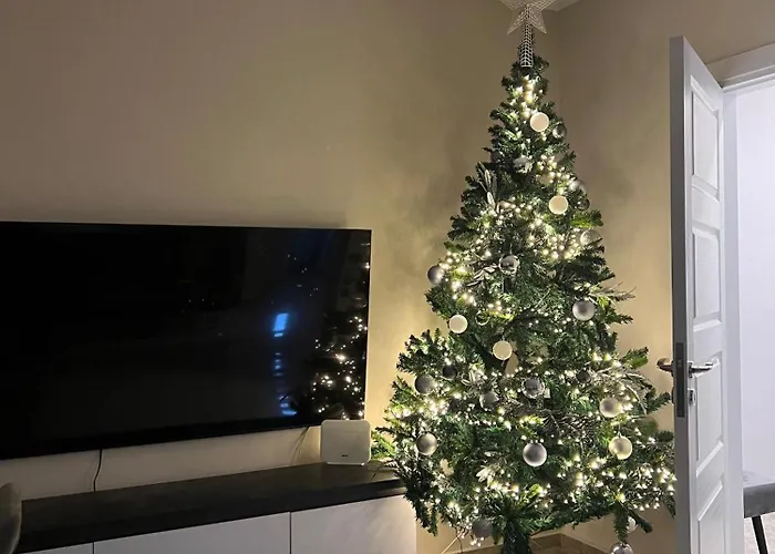 Fia 9 - Panoramic View 公寓 地拉那